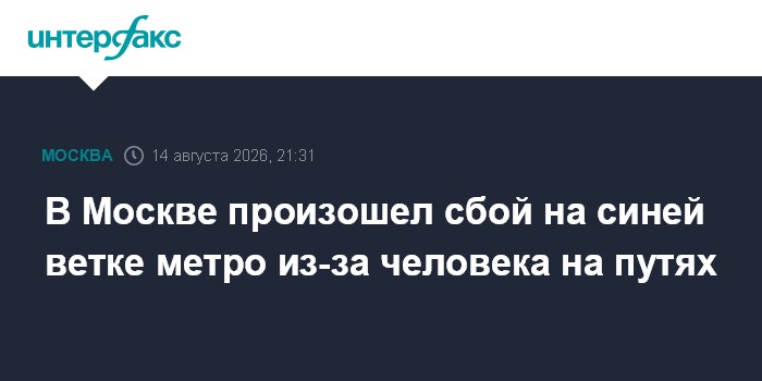 В Москве произошел сбой на синей ветке метро из-за человека на путях