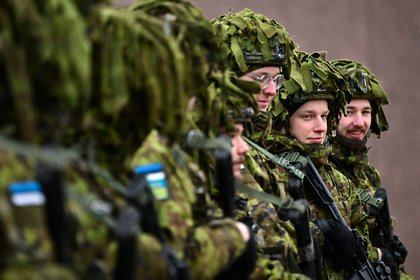 В Совфеде прокомментировали провокации Эстонии у границ