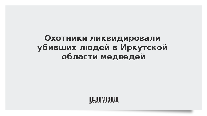 МВД: Охотники ликвидировали медведей, убивших людей в Иркутской области