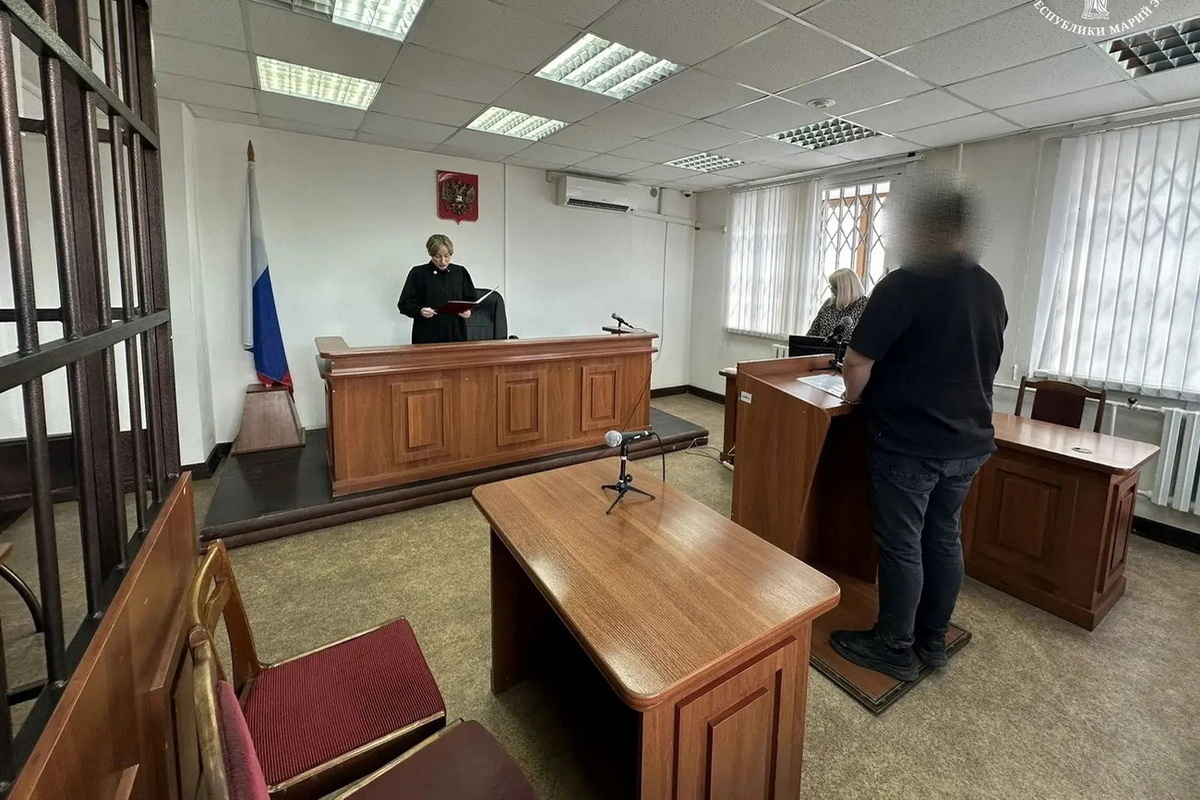 Йошкаролинец осужден за сбыт 12 тысяч пачек контрафактных сигарет