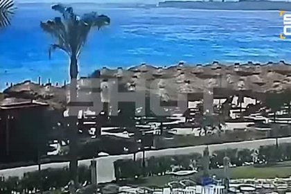 Пальма рухнула на лежаки с российскими туристами в Египте и попала на видео