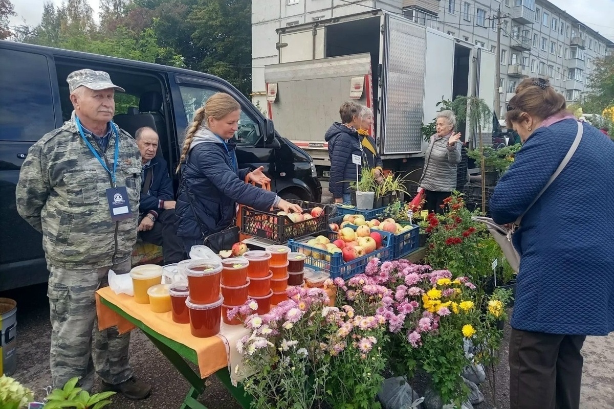 В Новгородской области завершился сезон осенних ярмарок