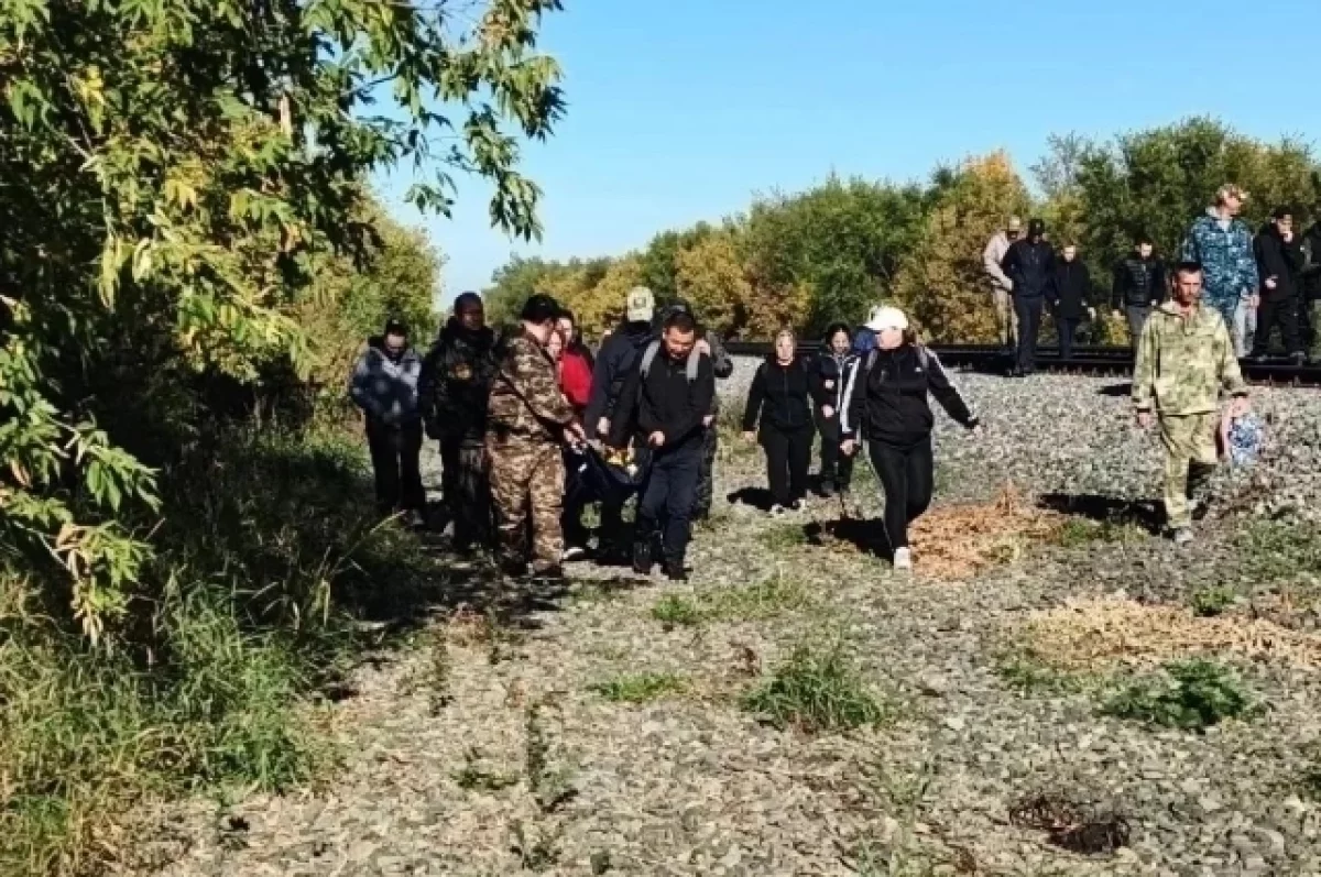 В Оренбуржье спустя пять дней нашли потерявшуюся в лесу пенсионерку