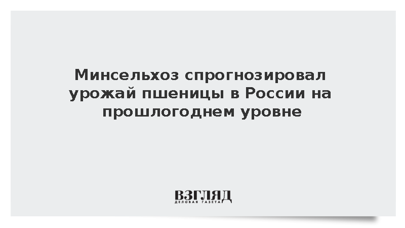 Сбор пшеницы в России в России достиг 93 млн тонн