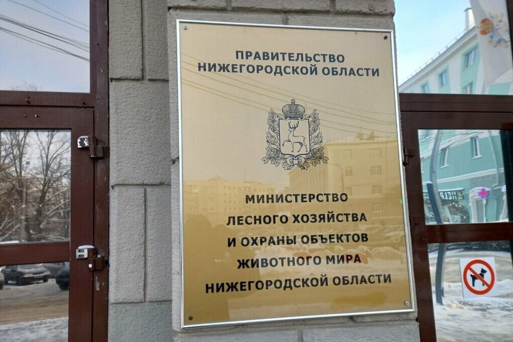 Минлесхоз опроверг слухи о нападнении медведя на собаку в Шахунье