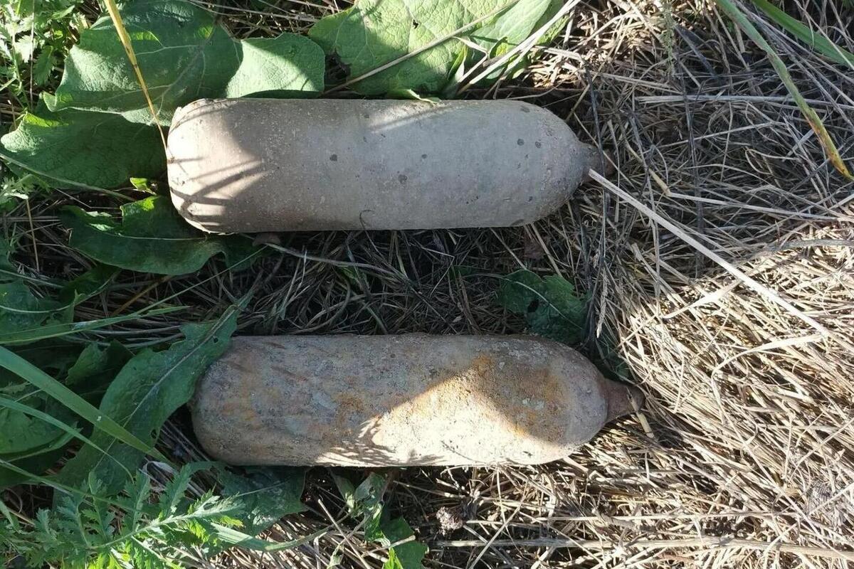 В Дубровском районе Брянской области обезвредили две авиабомбы времен ВОВ