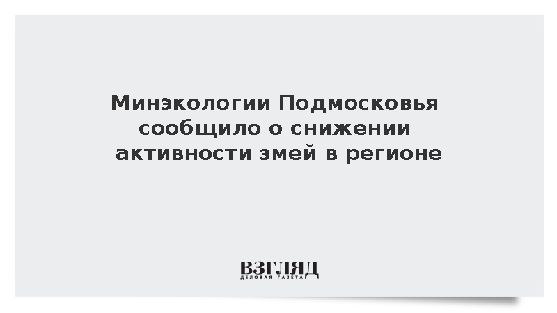 Минэкологии: Активность змей в Подмосковье начала снижаться перед зимней спячкой