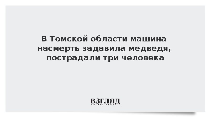 В Томской области машина насмерть задавила медведя, пострадали три человека