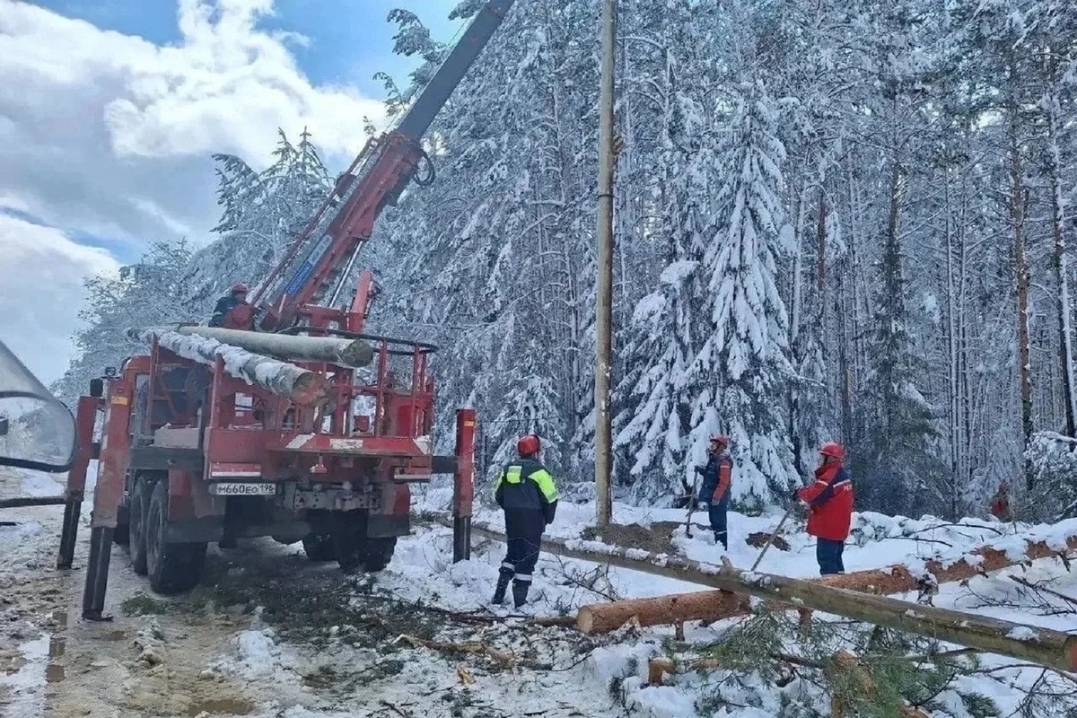 250 деревьев упало на ЛЭП на Среднем Урале из-за снегопада