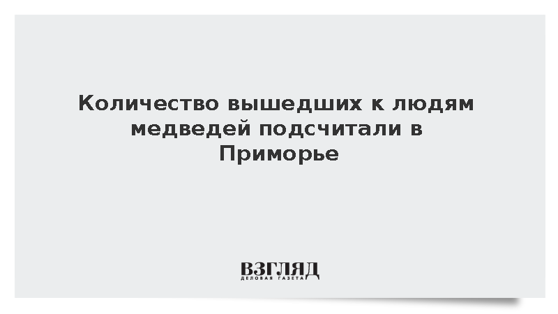 Власти Приморья зафиксировали 36 случаев выхода медведей к людям