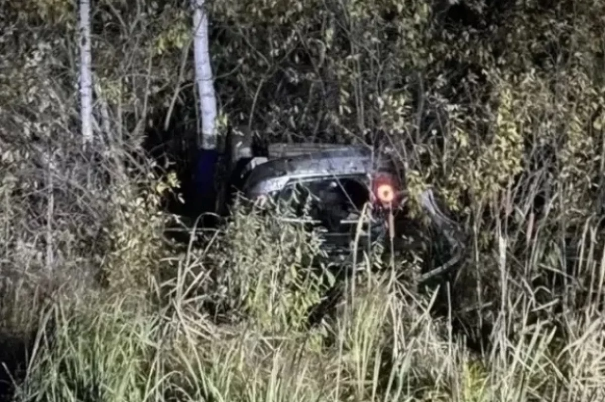 В Томской области в ДТП с медведем пострадали 3 человека