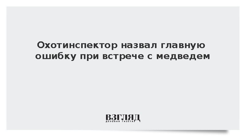 Охотинспектор Волков посоветовал не бросать предметы в медведя