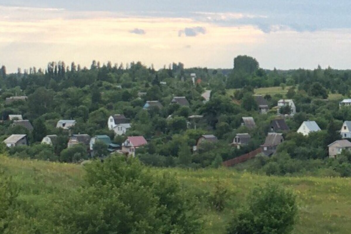 В Воронежской области председатель СНТ сам себе выплатил «премию» в 250 тысяч
