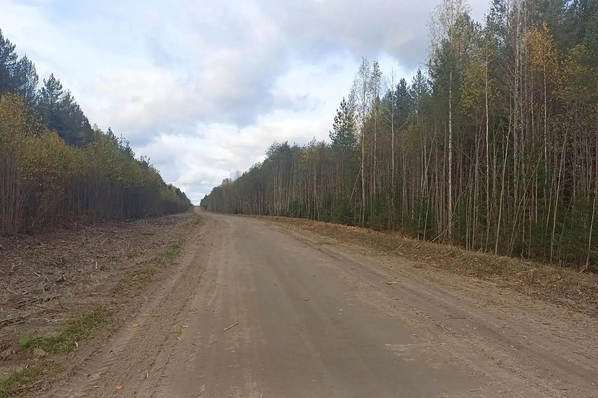 «Трассу выживания» в Коношском округе привели в порядок спустя 5 лет