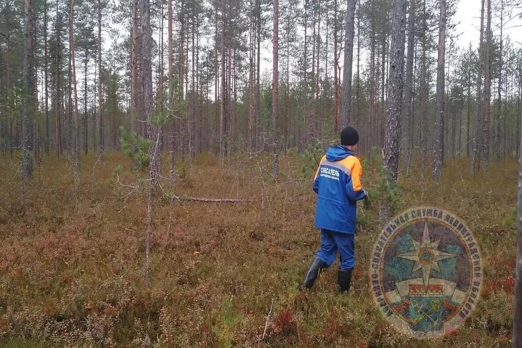 В Приозерском районе пройдут учения-соревнования для спасателей