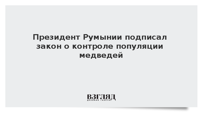 Президент Румынии подписал закон о регулировании популяции медведей