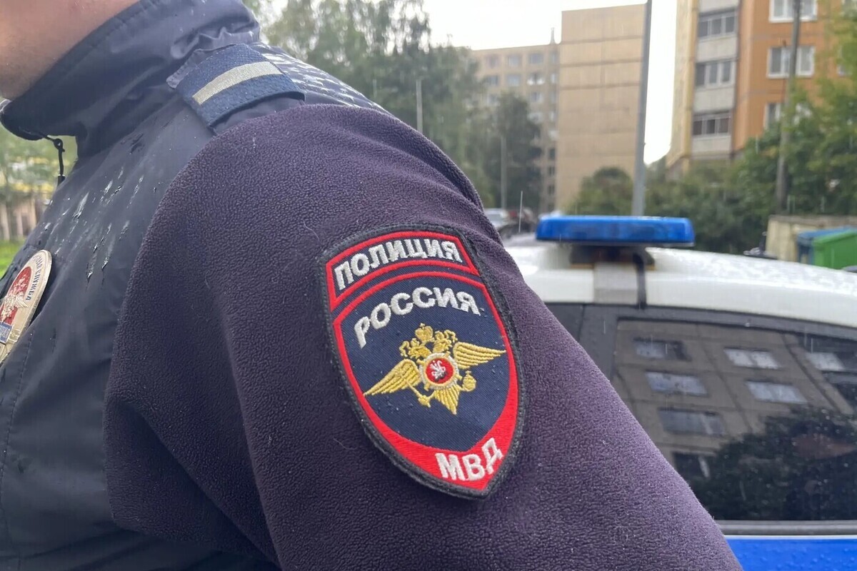 За попытку сорвать погоны с полицейского петербуржец получил 1,5 года условно