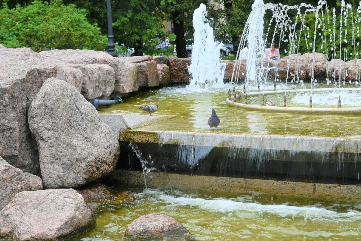 Выборг борется за звание лучшего города для гостиничного бизнеса