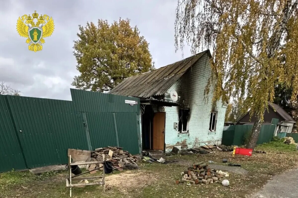 На пожаре в Скопине погибли пожилая женщина и ребёнок