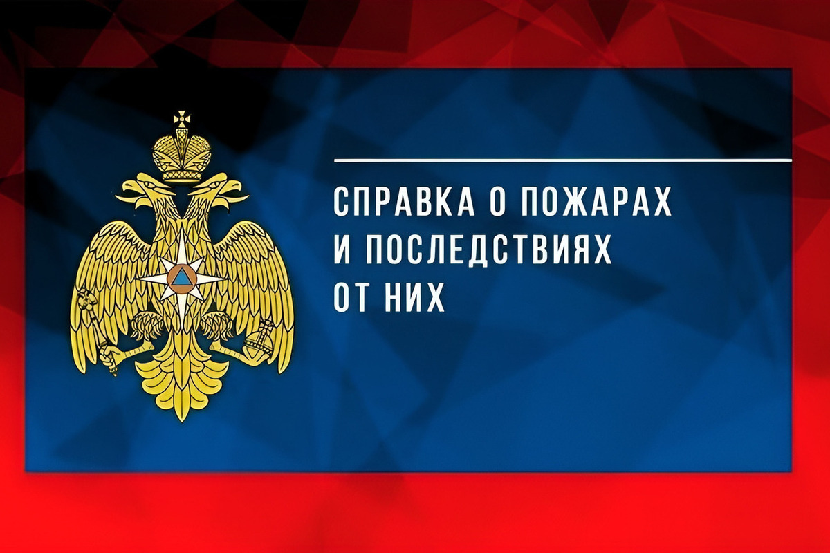 За 9 месяцев в Псковской области произошло почти 3 тысячи пожаров: 50 погибших