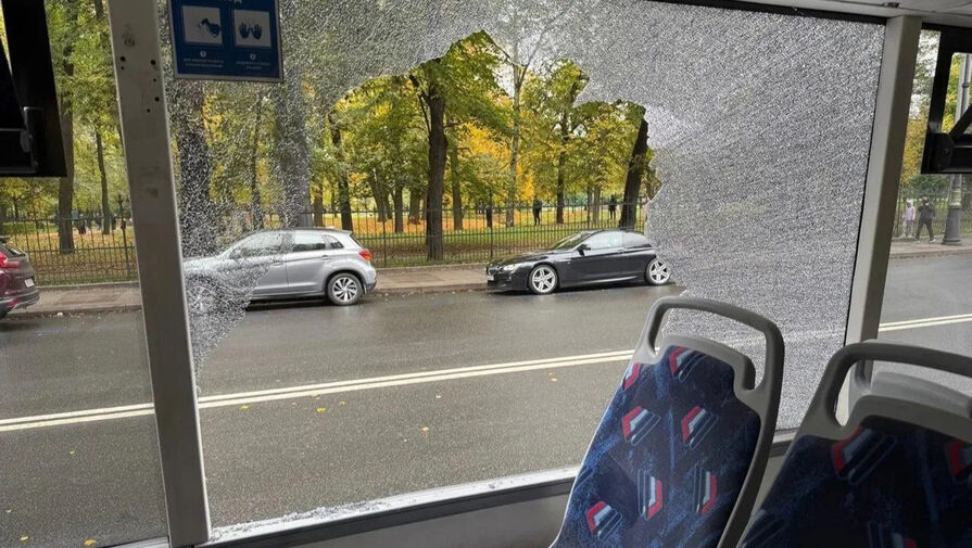 Пьяный турист разгромил троллейбус в Петербурге и убегал от полиции