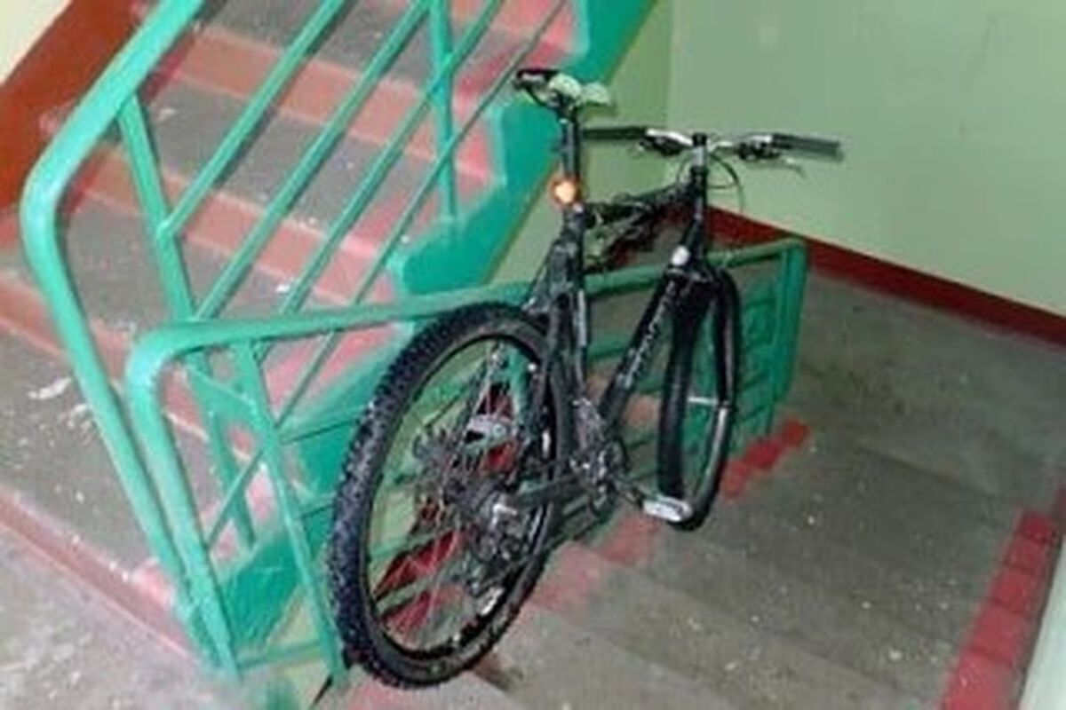 В Касимове рецидивист украл велосипед из подъезда