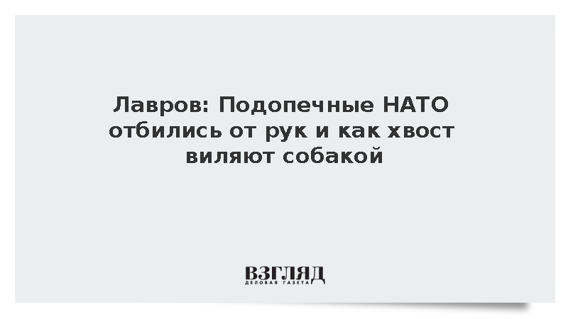 Лавров: Подопечные НАТО отбились от рук и как хвост виляют собакой