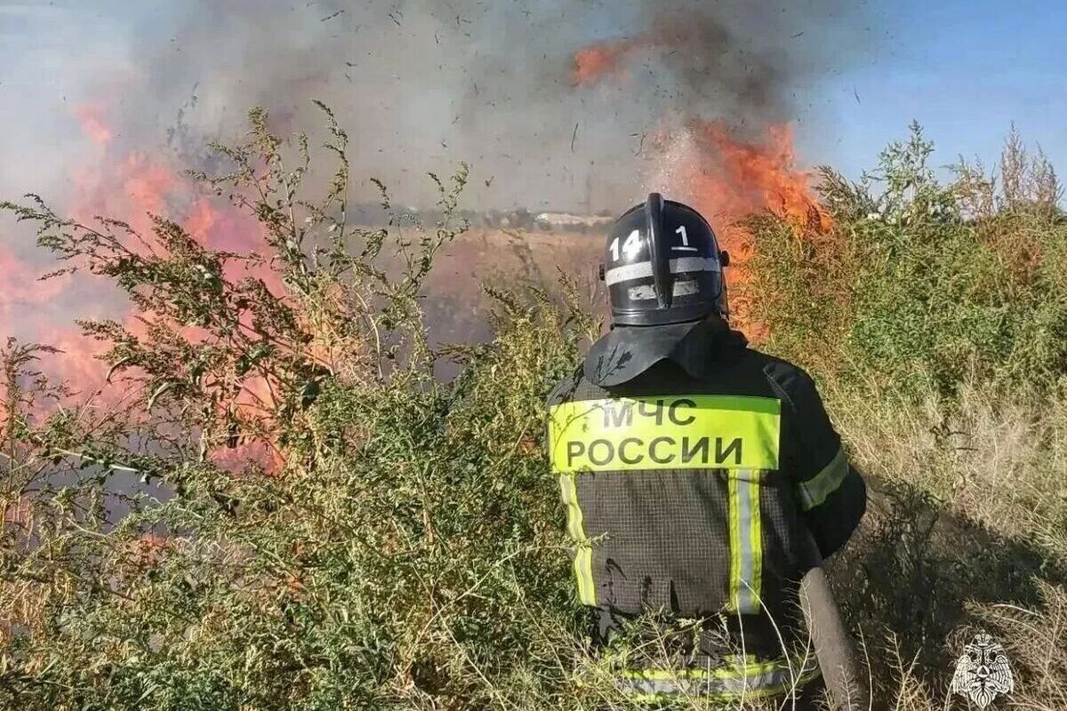 В Запорожской области с начала особого противопожарного режима произошло более 230 пожаров