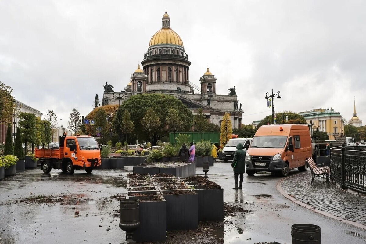 Сад-трансформер на Синем мосту отправился на зимние каникулы
