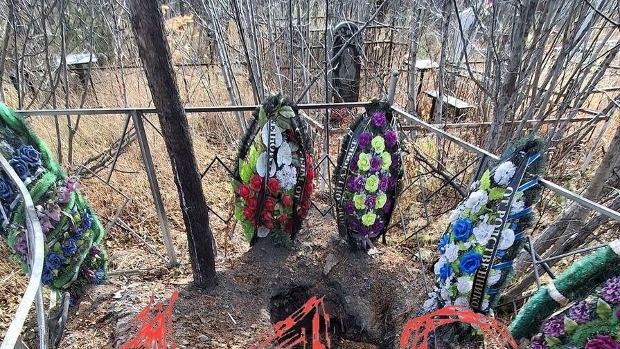 В Магадане медведь крадет тела из могил на кладбище