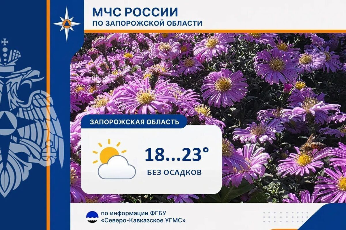 В Запорожской области ожидается туман: Прогноз погоды на 6-7 октября