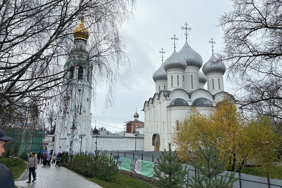 Видеоролики показывают в автобусах Санкт-Петербурга