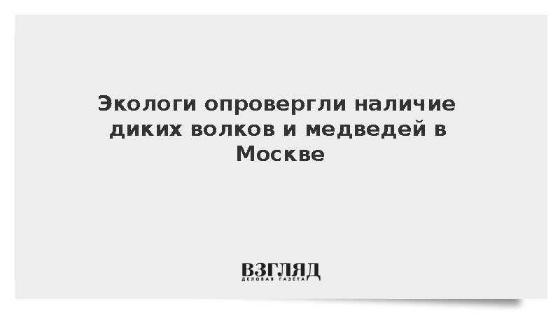 Экологи опровергли наличие диких волков и медведей в Москве