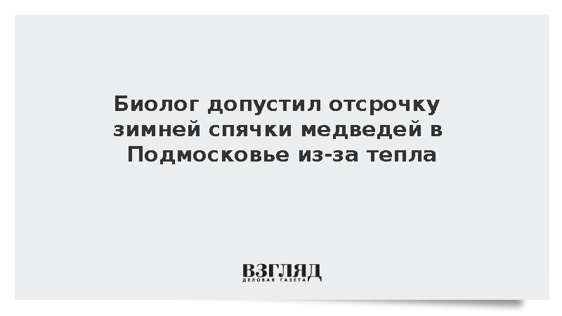 Биолог Федоров: Медведи в Подмосковье могут не заснуть до Нового года при теплой осени