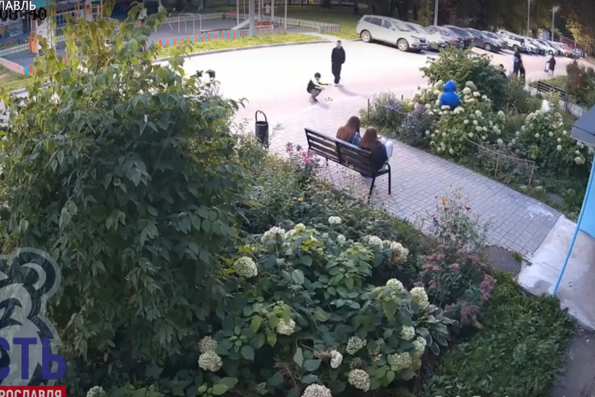 В Ярославле подростки в первый день каникул разгромили брагинские клумбы