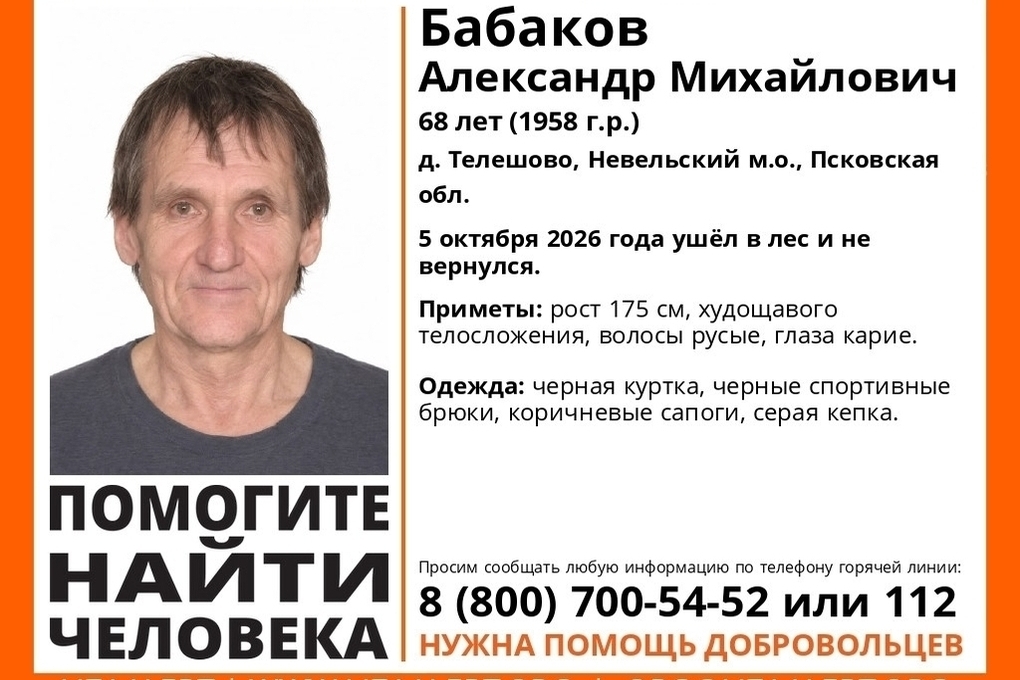 В Псковской области волонтеры ищут пропавшего в лесу 68-летнего мужчину