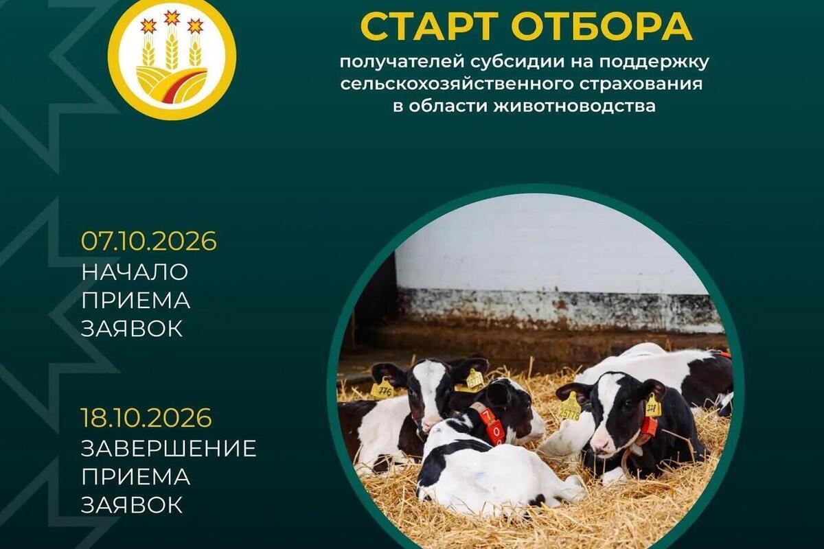 Животноводы Чувашии смогут получить субсидии на страхование