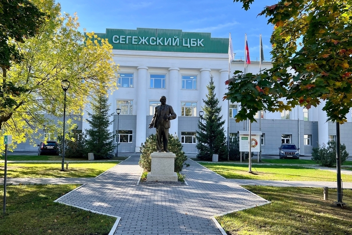 Впервые капремонт Сегежского ЦБК прошел без полной остановки производства