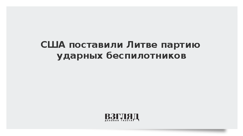 США поставили Литве партию ударных беспилотников Switchblade 600