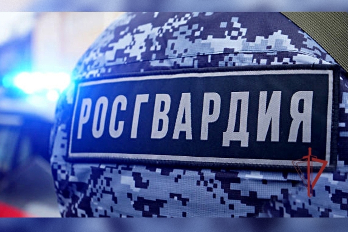 Росгвардейцы задержали дебошира возле питейного заведения в центре Пензы