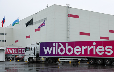 Wildberries запустит платформу госзакупок по поручению президента