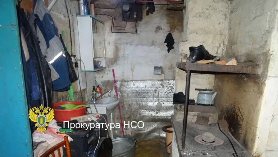 Сибиряк из ревности забил соперника кочергой и совком