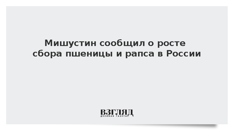 Мишустин: В России собрали больше пшеницы и рапса, чем в прошлом году