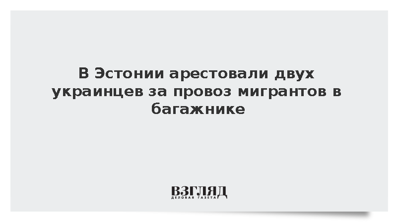 DELFI: Эстония арестовала двух украинцев за провоз мигрантов в багажнике