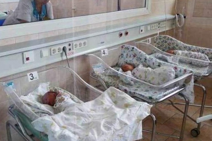 В Карелии в сентябре родилась только одна двойня