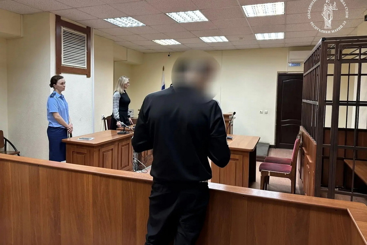 В Йошкар-Оле осудили наркомана и серийного магазинного вора
