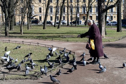 Москвичам дали совет насчет птиц