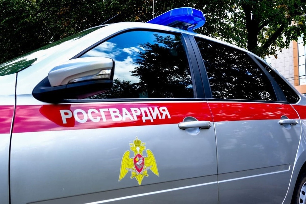 В Марий Эл росгвардейцы за месяц задержали более 30 нарушителей