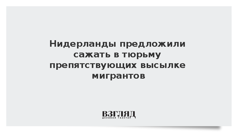 RTL: Нидерланды предложили сажать в тюрьму препятствующих высылке мигрантов