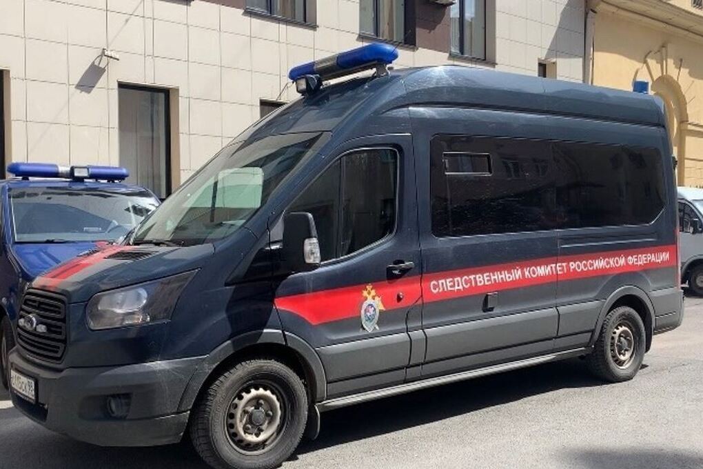 Следствие установит причины падения металлической панели с кровли дома в Лаголово